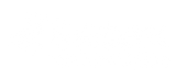 Setex Technologies